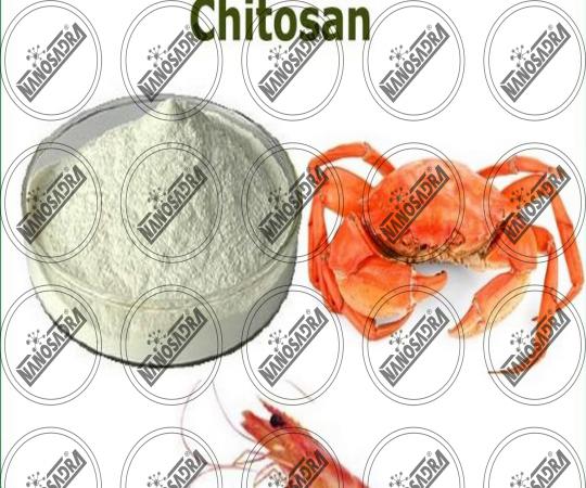 Is chitosan positively charged?