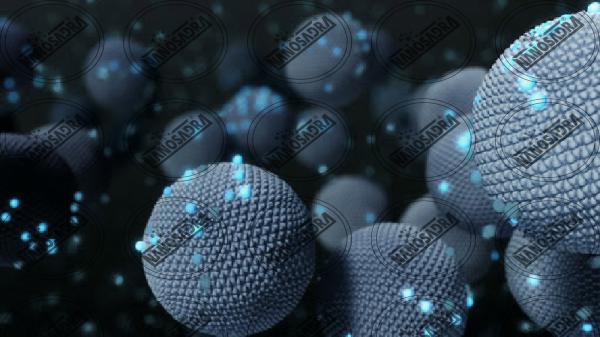  Who makes the best quality nanotechnology?